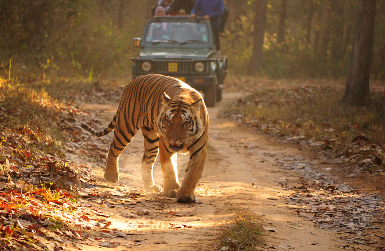 Kanha National Park